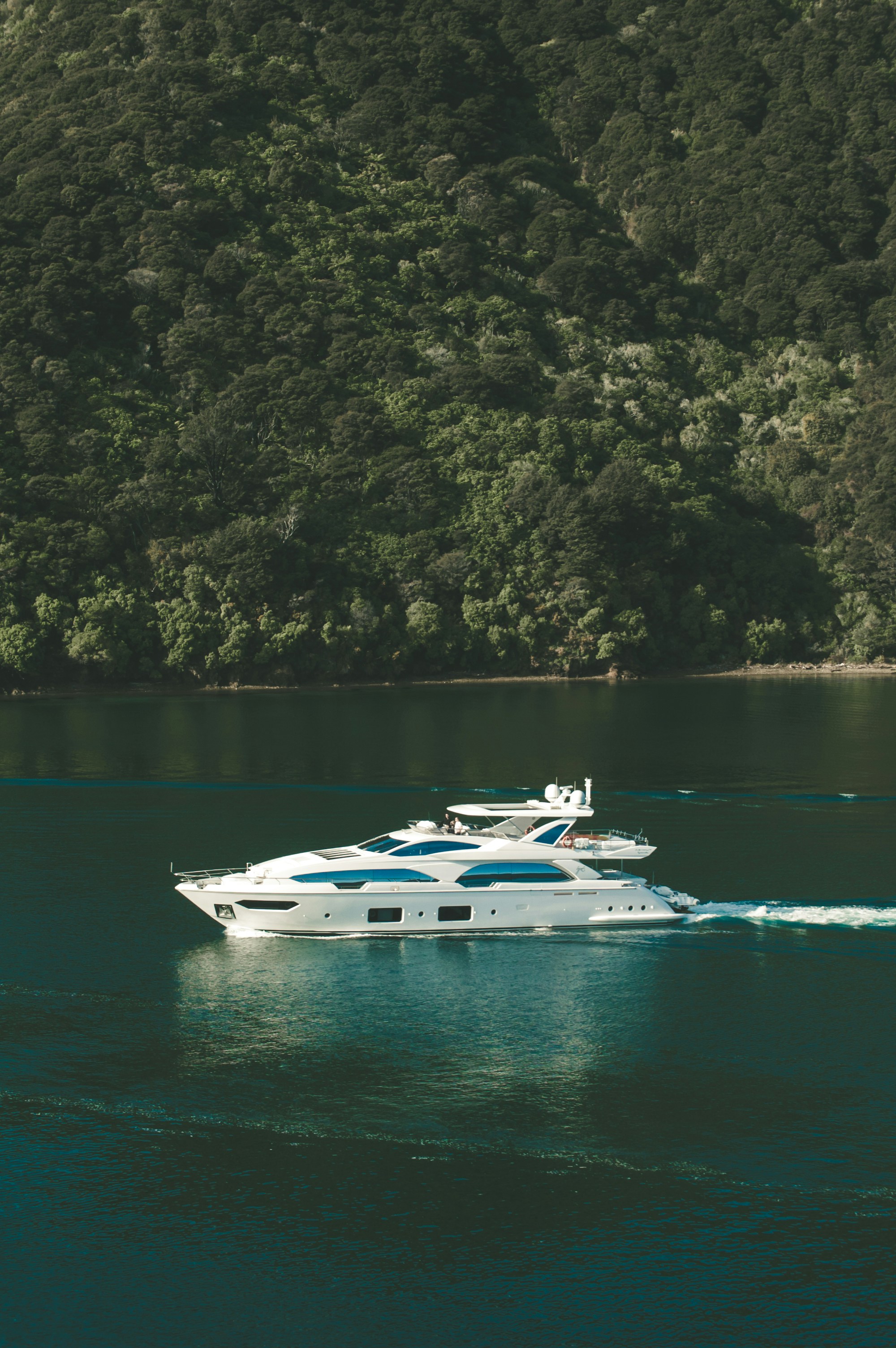 A yacht beside a quiet green shoreline